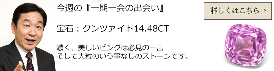 メタルのジュエリークラフト FT-10R , FEATHER PENDANT (18K GOLD ACCENT) , SMALL , RIGHT